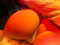 Фото проститутки Карина №2 в городе Омск